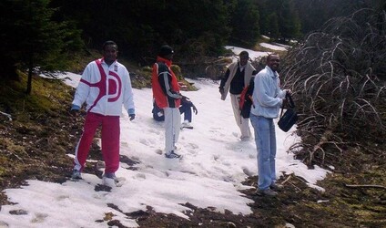 CISéL printemps 2005