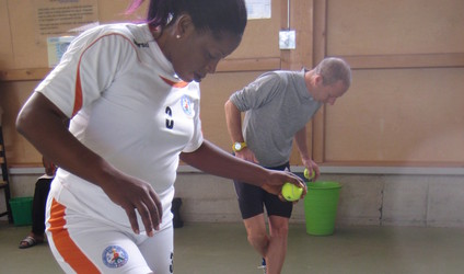 Cours CISéL automne 2014 