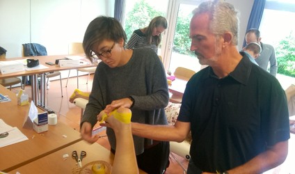 Cycle Interdisciplinaire 2016-2018